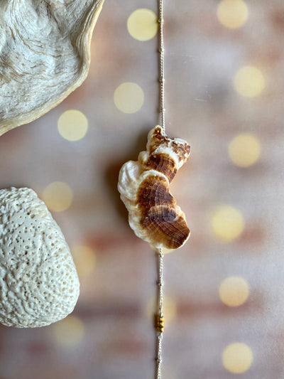 Seashell Dreams Necklace