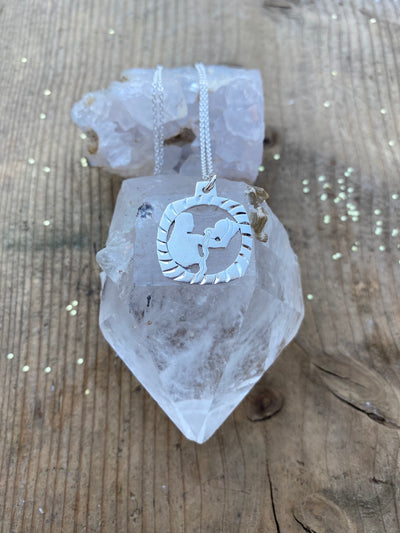 Aquarius Zodiac Necklace